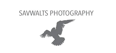 LOGO.png